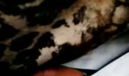 Jenna Walentynki lesbijki dojrzale kobiety sex zdjecia do Whitney Wright