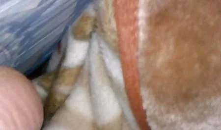 Angielskie wielkie starsze panie na sex czarne dupy 0 czwartek